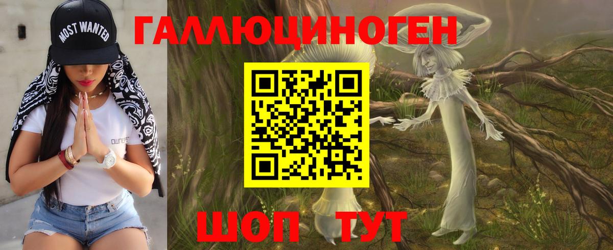 Псилоцибиновые грибы мицелий  Галлюциногенные грибы ЛСД  где найти наркотики  Вход с VPN  Искитим 